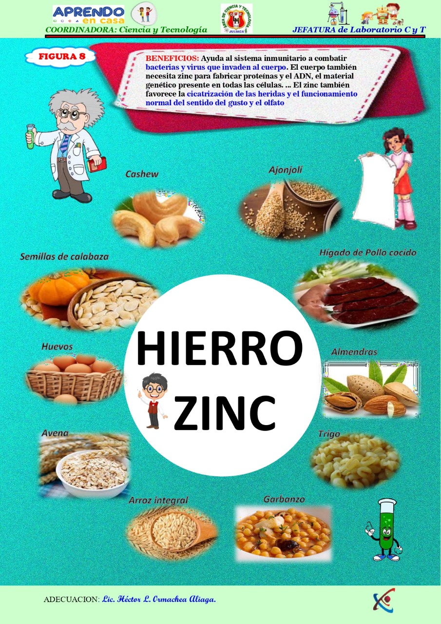 Hierro Zinc Ie Gue Las Mercedes 0002