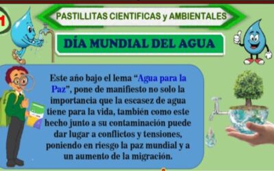 DÍA MULDIAL DEL AGUA